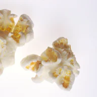 Two pieces of popped popcorn